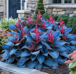 Хоста Грин Фог купить по цене от 669р. в интернет-магазине «Посадика» с доставкой почтой в в Сольцые и по всей России – [изображение №1].