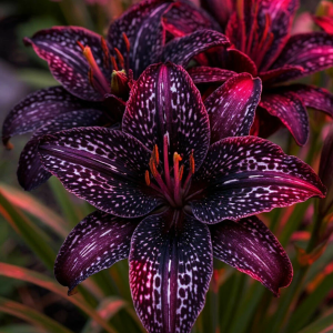 Лилейник Вояж купить по цене от 699р. в интернет-магазине «Посадика» с доставкой почтой в в Сольцые и по всей России – [изображение №1].